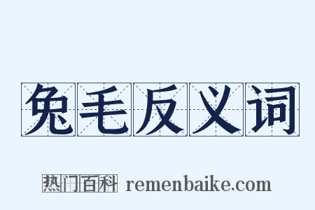 兔毛反义词是什么意思的图片